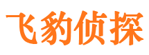 东城市私家调查